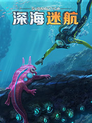 日本潮牌是不是便宜点